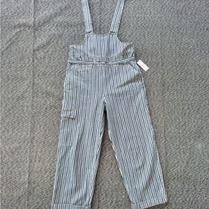 NWT Anthropologie Pilcro Overalls